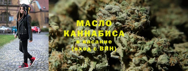 дмт Инсар