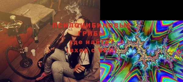 каннабис Аркадак