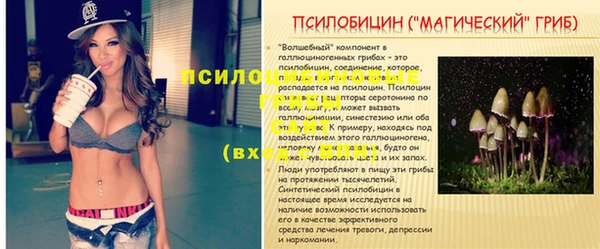 каннабис Аркадак