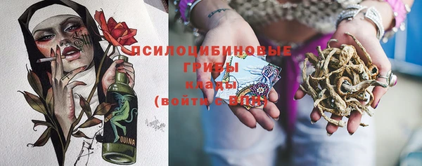 МДПВ Арсеньев