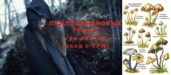 МДПВ Арсеньев