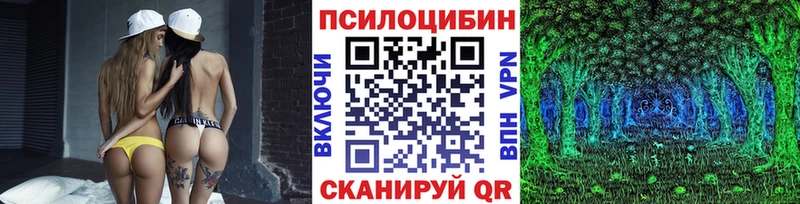 Псилоцибиновые грибы Psilocybine cubensis  Онега 